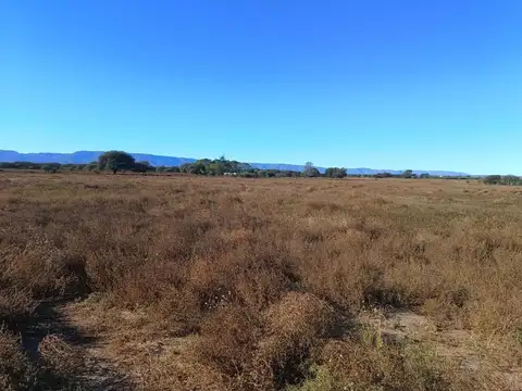 Campo en Venta en Villa Larca, Chacabuco