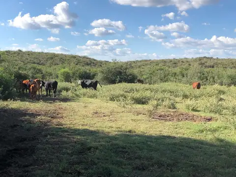 Campo en Venta en Tilisarao, Chacabuco