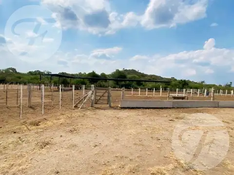 Campo en Venta en Villa General Roca, Belgrano