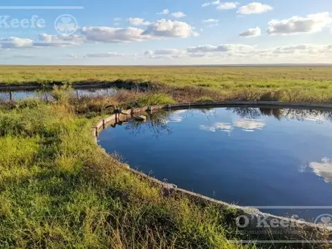 Campo en Venta en San Luis, Juan Martín de Pueyrredón