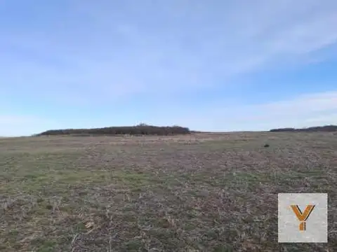 Campo en Venta en La Angelina, General Pedernera