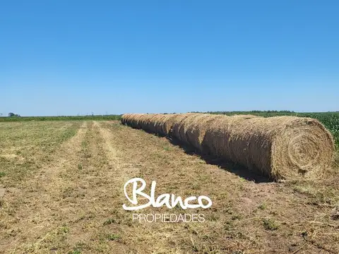 Campo en Venta en Villa Mercedes, General Pedernera