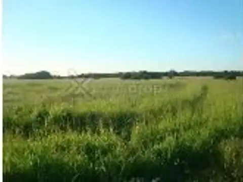 Campo en Alquiler en Colonia Baranda, San Fernando