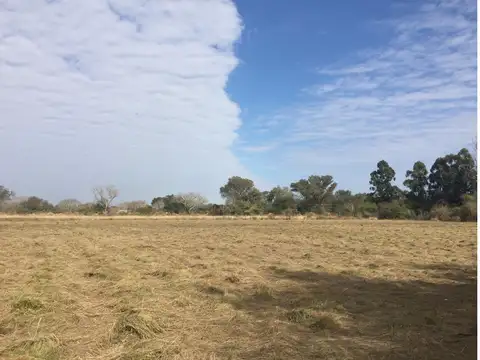 Campo en Alquiler en Macrocentro, Resistencia