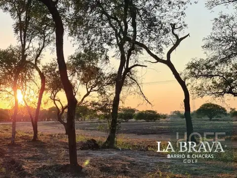 Terreno en Venta en Colonia Popular, Libertad