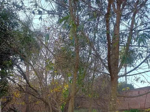 Terreno en Venta en San Javier, Resistencia