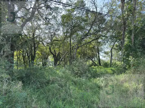 Terreno en Venta en Colonia Benitez, 1 de Mayo