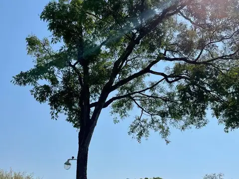 Terreno en Venta en Colonia Benitez, 1 de Mayo