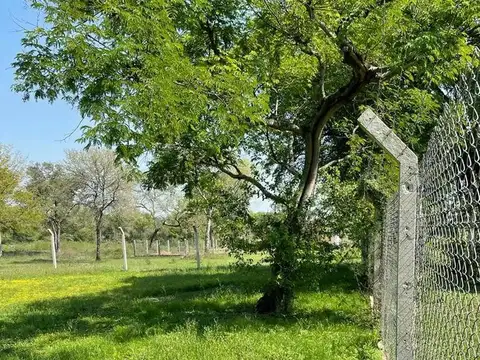 Terreno en Venta en Colonia Benitez, 1 de Mayo