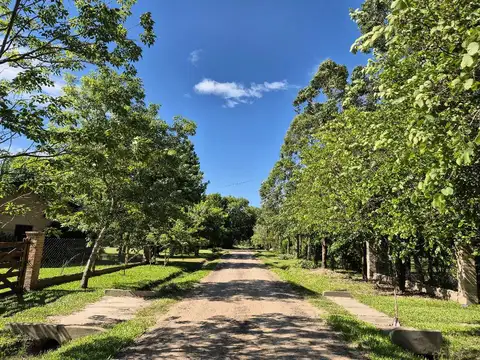 Terreno en Venta en Colonia Benitez, 1 de Mayo