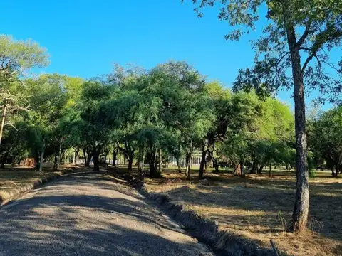 Terreno en Venta en Colonia Benitez, 1 de Mayo