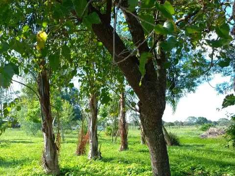 Terreno en Venta en Colonia Benitez, 1 de Mayo