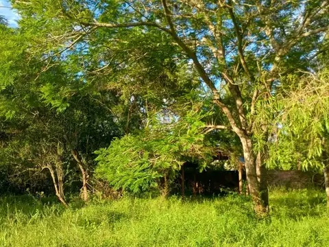 Terreno en Venta en Colonia Benitez, 1 de Mayo