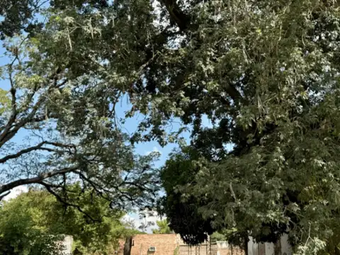 Terreno en Venta en Macrocentro, Resistencia