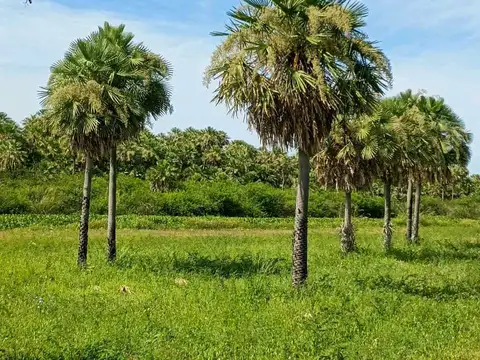 Terreno en Venta en Resistencia, San Fernando