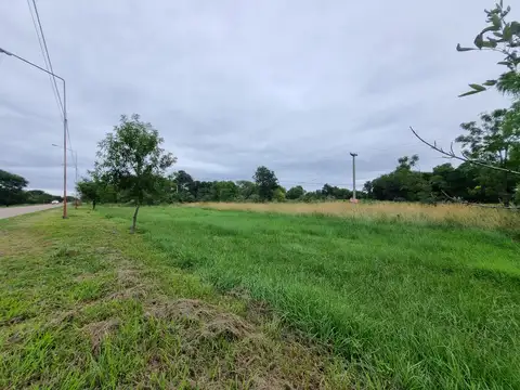 Terreno en Venta en Colonia Benitez, 1 de Mayo