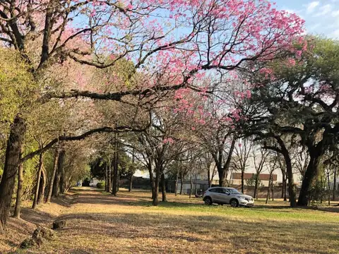 Terreno en Venta en Villa Cristo Rey, Resistencia