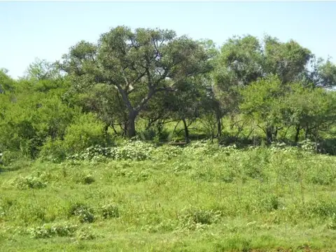 Campo en Venta en Taco Pozo, Almirante Brown
