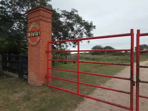 Campo en Venta en Las Palmas, Bermejo