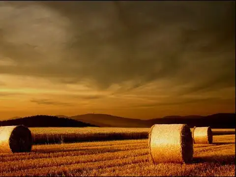Campo en Venta en Colonia el Curupi, Fray Justo Santa María de Oro