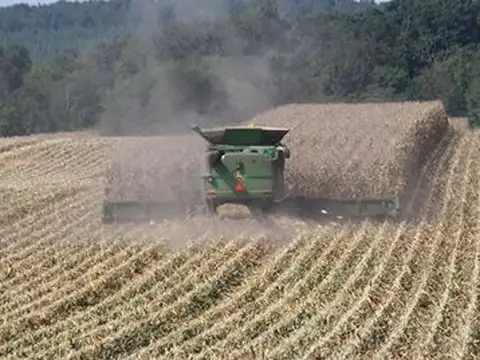 Campo en Venta en Colonia Tañigo, 2 de Abril