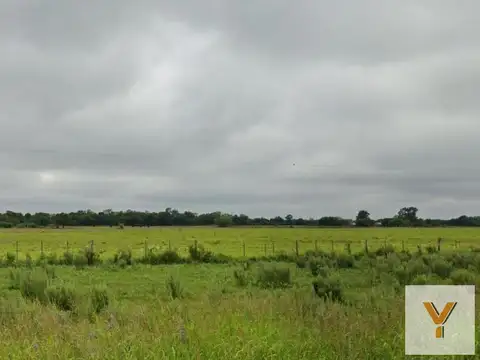 Campo en Venta en Pampa Florida, Comandante Fernández