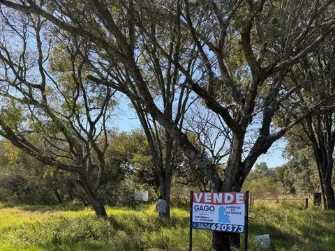 Campo en Venta en Margarita Belen, 1 de Mayo
