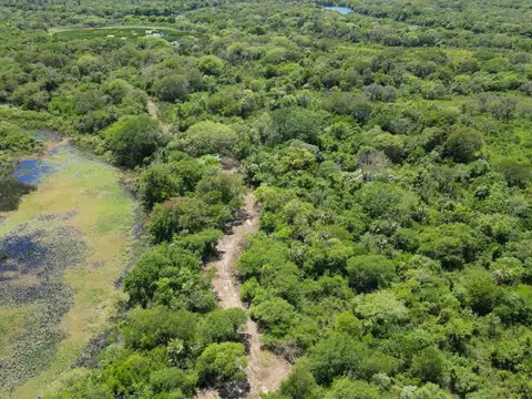 Campo en Venta en Mujeres Argentinas, Resistencia