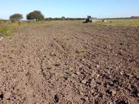 Campo en Venta en Coronel Du Graty, Mayor Luis J. Fontana