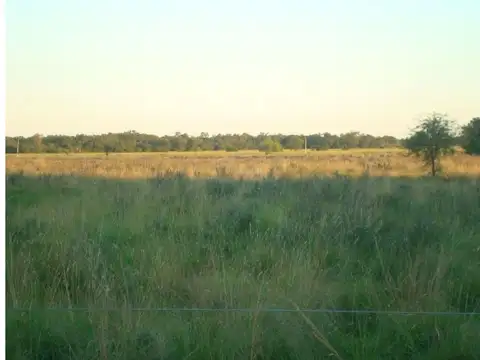 Campo en Venta en Colonia Baranda, San Fernando