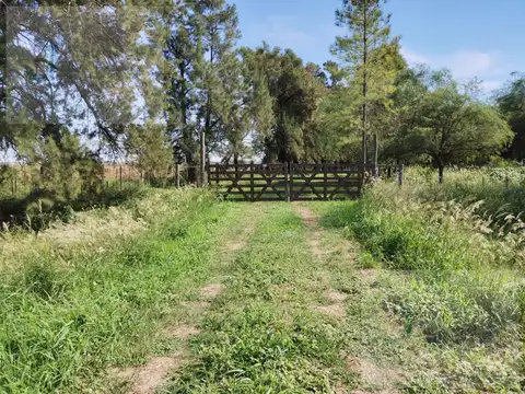 Quinta en Venta en Coronel Du Graty, Mayor Luis J. Fontana