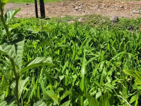 Terreno en Venta en Campo Quijano, Rosario de Lerma