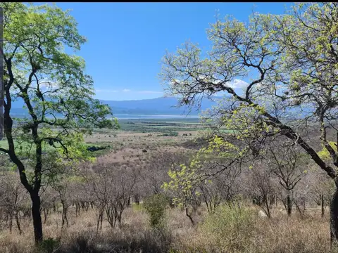 Terreno en Venta en Dique Cabra Corral, Coronel Moldes