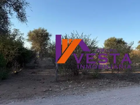 Terreno en Venta en Coronel Moldes, La Viña