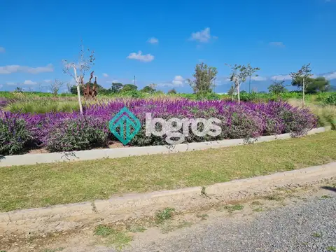 Terreno en Venta en San Luis, Anta
