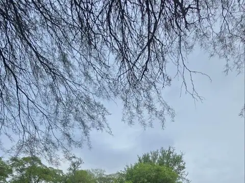 Terreno en Venta en Zona Centro, Salta