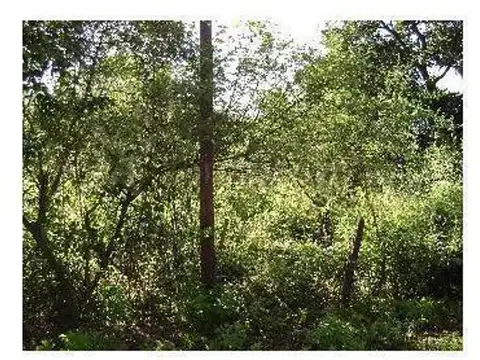 Terreno en Venta en El Prado Eco Village, Countries y Barrios Cerrados en Salta Capital