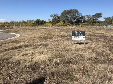 Terreno en Venta en San Lorenzo Chico, San Lorenzo