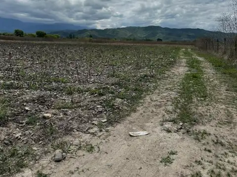 Terreno en Venta en El Encon, Rosario de Lerma
