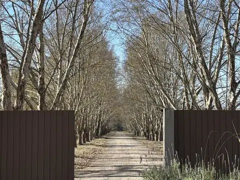 Terreno en Venta en San Lorenzo, Capital