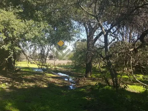 Campo en Venta en Los Blancos, Rivadavia