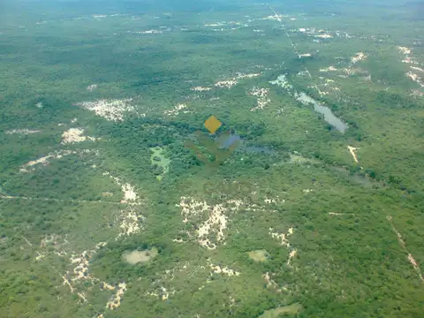 Campo en Venta en Rivadavia, Salta