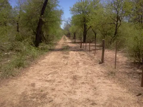 Campo en Venta en Talavera, Anta