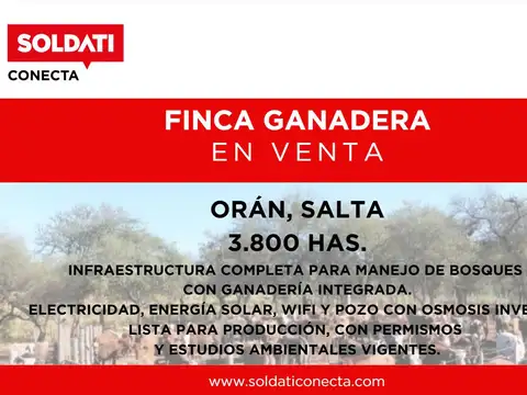 Campo en Venta en La Estrella, Orán