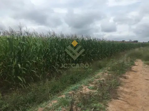 Campo en Venta en Duraznito, Rosario de la Frontera