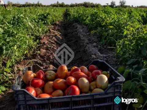 Campo en Venta en Zona Norte, Salta