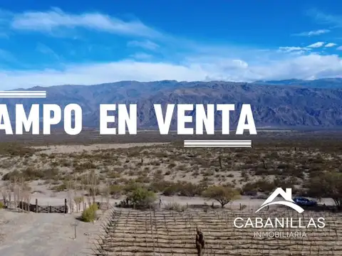 Campo en Venta en Cafayate, Salta