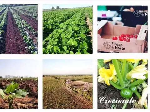 Campo en Venta en Colonia Santa Rosa, Orán
