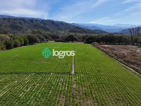 Campo en Venta en Talapampa, La Viña