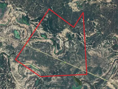 Campo en Venta en Rivadavia, Salta